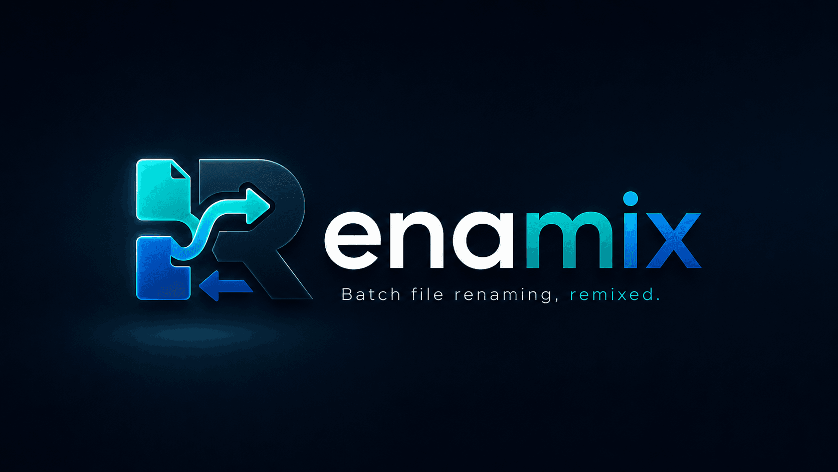 Renamix product screenshot